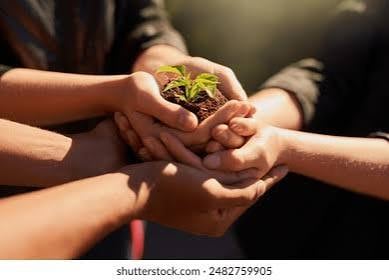 Sustainability & Responsibility
