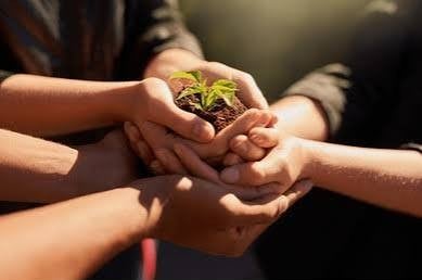 Sustainability & Responsibility